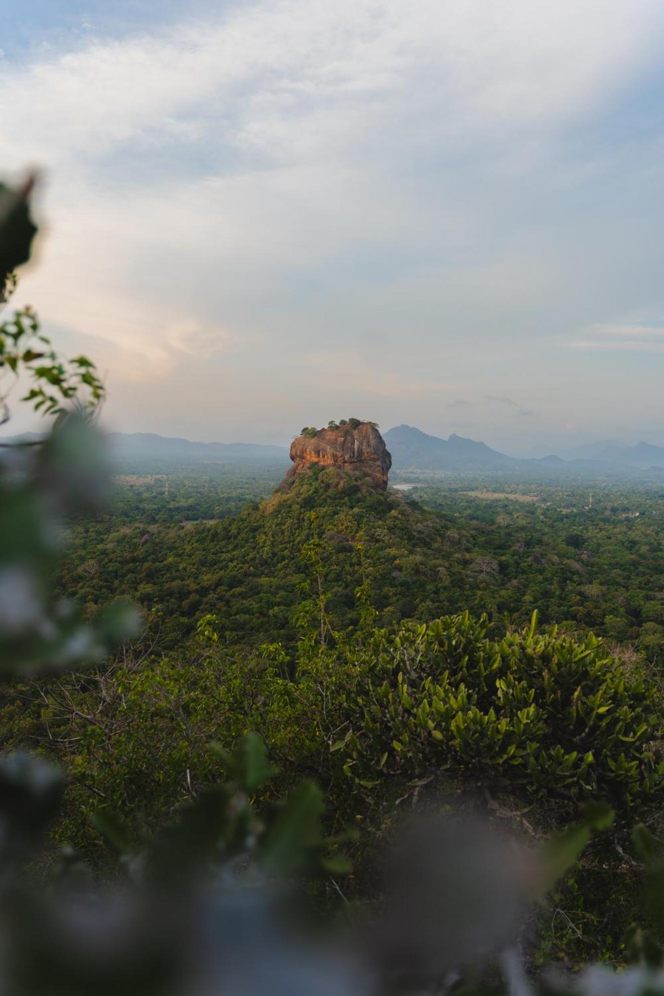 Elephant Trio Sigiriya Exterior photo